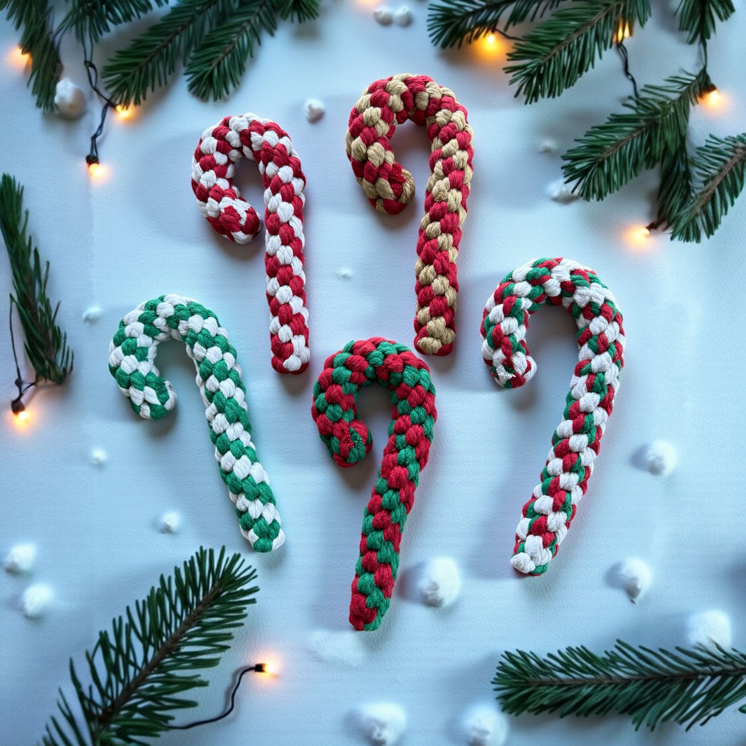 X-Mas Hundespielzeug