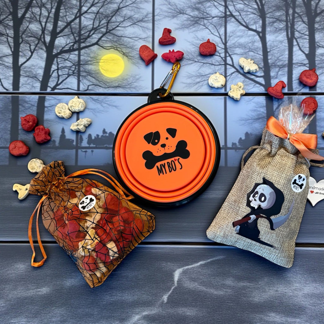 Halloween 🎃 Bundle: 1 Organzasäckchen und 1 Jutebeutel je 50 gr.