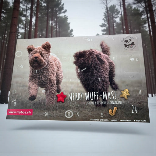 Weihnachtskalender mit Mini Midi Leckerlies