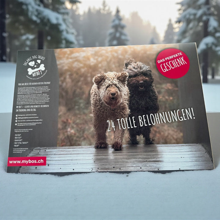 Weihnachtskalender mit Mini Midi Leckerlies