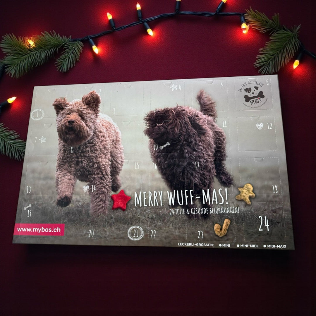 Weihnachtskalender mit Mini Leckerlies