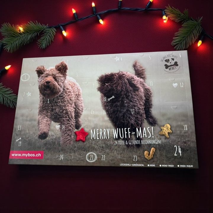 Weihnachtskalender mit Mini Leckerlies